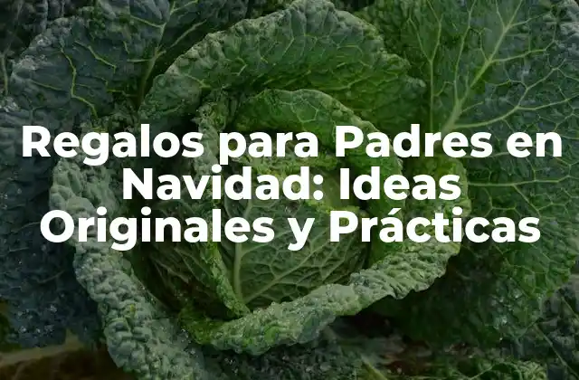 Regalos para Padres en Navidad: Ideas Originales y Prácticas