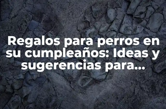 Regalos para Perros en Su Cumpleaños: Ideas y Sugerencias para Celebrar