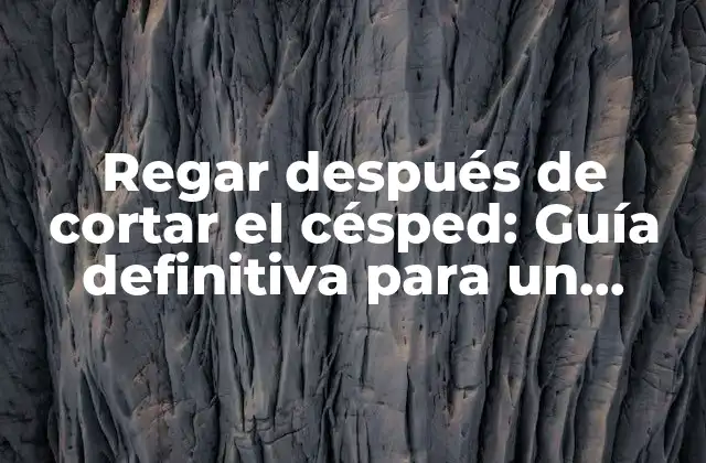 Regar Después de Cortar el Césped: Guía Definitiva para un Césped Saludable