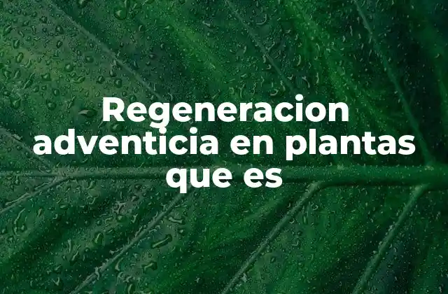 El papel de la regeneración en la adaptación vegetal