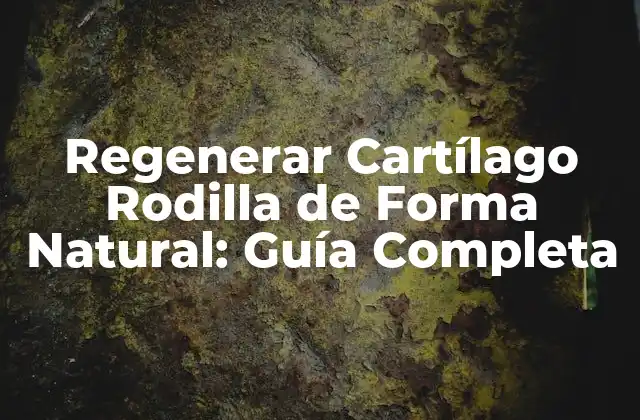 Regenerar Cartílago Rodilla de Forma Natural: Guía Completa