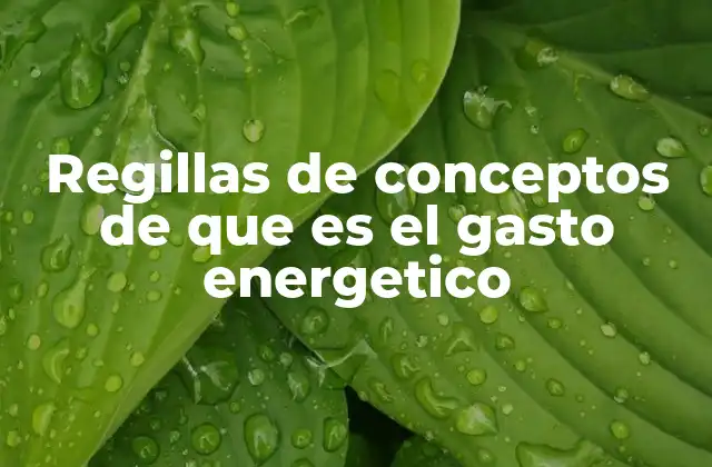 Regillas de Conceptos de que es el Gasto Energetico 2 Factores que influyen en el gasto energético