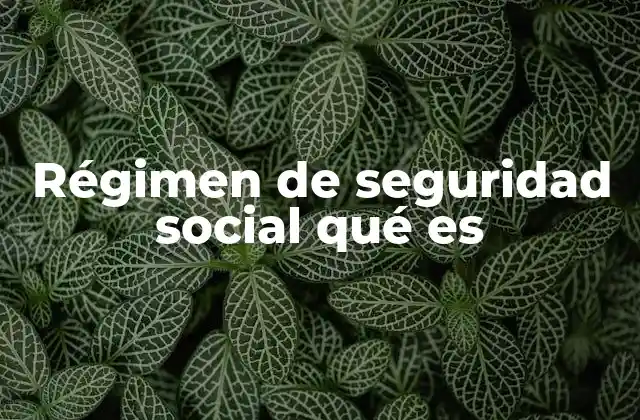 Régimen de Seguridad Social Qué es