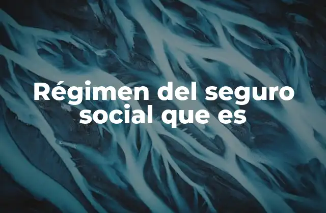 Régimen Del Seguro Social que es