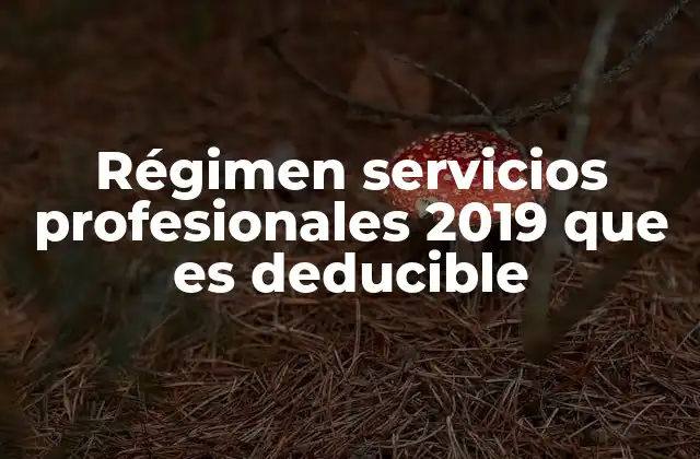 Régimen Servicios Profesionales 2019 que es Deducible