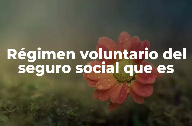 Régimen Voluntario Del Seguro Social que es 2 La importancia del acceso a la seguridad social para grupos no formales