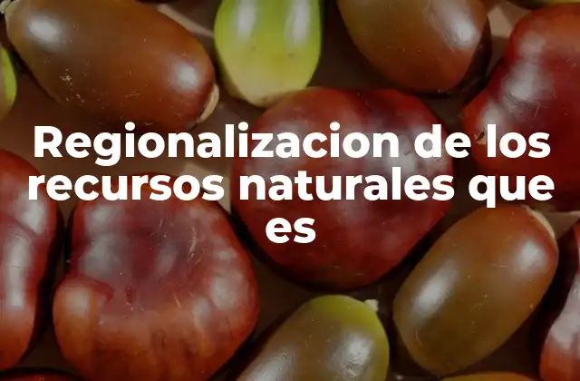Regionalizacion de los Recursos Naturales que es