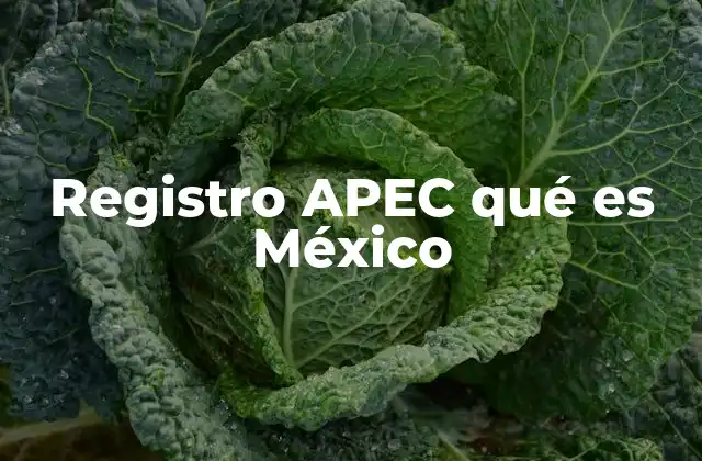 La importancia del registro APEC en la internacionalización mexicana