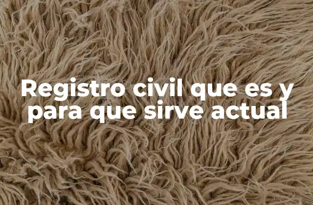 Registro Civil que es y para que Sirve Actual