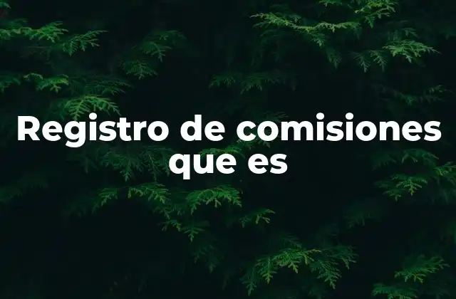 Registro de Comisiones que es