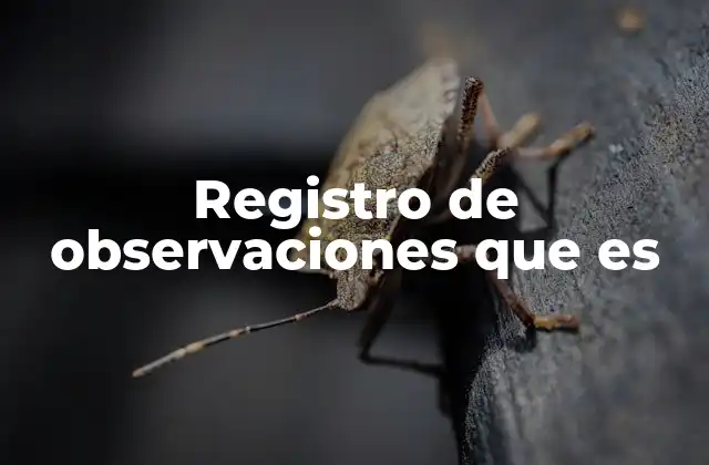 Registro de Observaciones que es