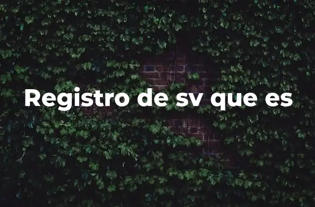Registro de Sv que es