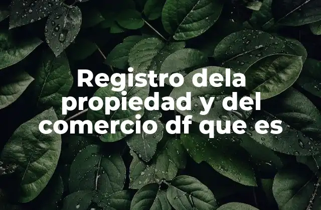 Registro Dela Propiedad y Del Comercio Df que es