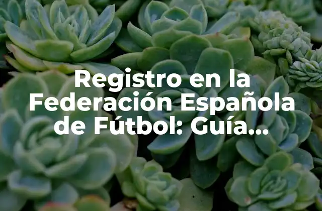 Registro en la Federación Española de Fútbol: Guía Completa
