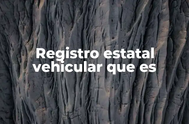 Registro Estatal Vehicular que es