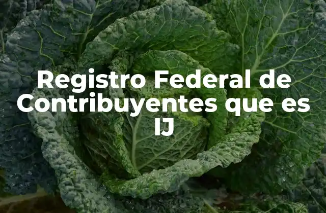 Registro Federal de Contribuyentes que es Ij
