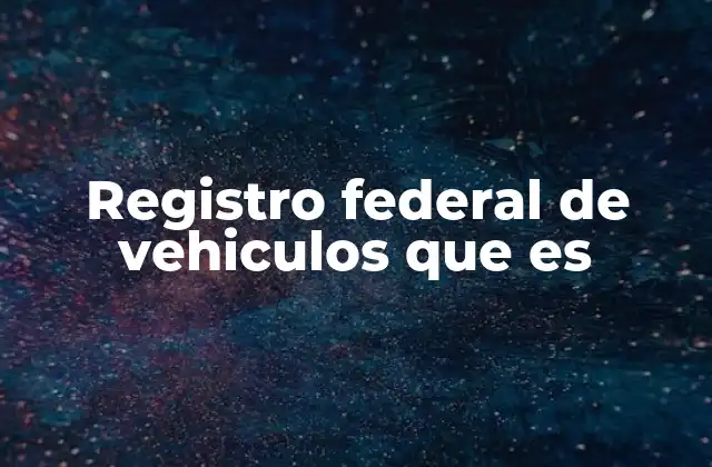 Registro Federal de Vehiculos que es