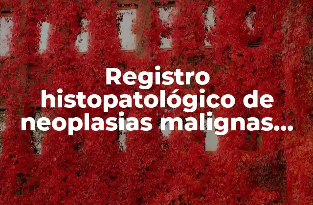 Registro Histopatológico de Neoplasias Malignas Rhnm que es