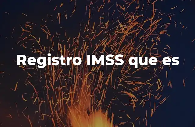 Registro Imss que es 2 Cómo funciona el sistema de registro IMSS