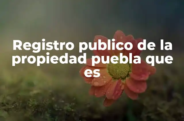 Registro Publico de la Propiedad Puebla que es