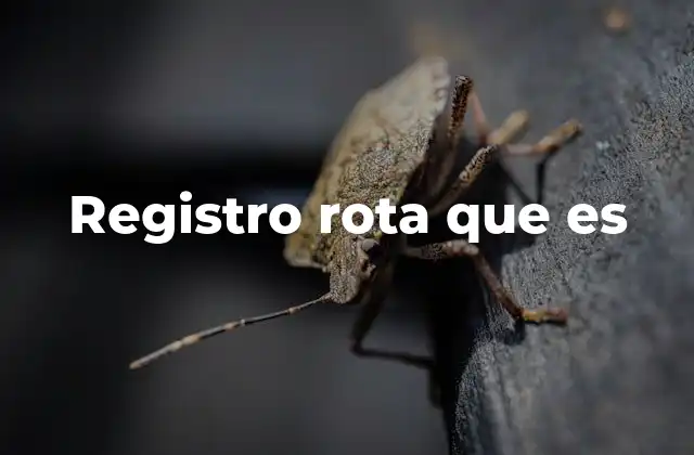 Registro Rota que es
