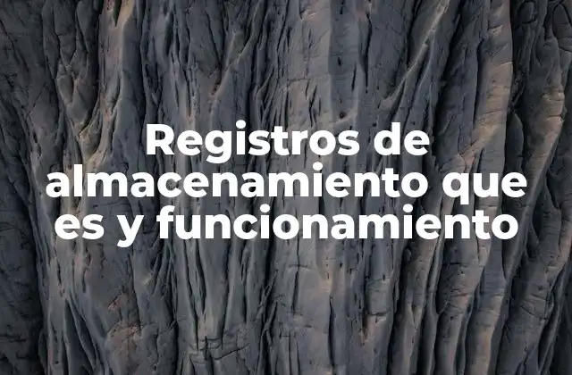 Registros de Almacenamiento que es y Funcionamiento