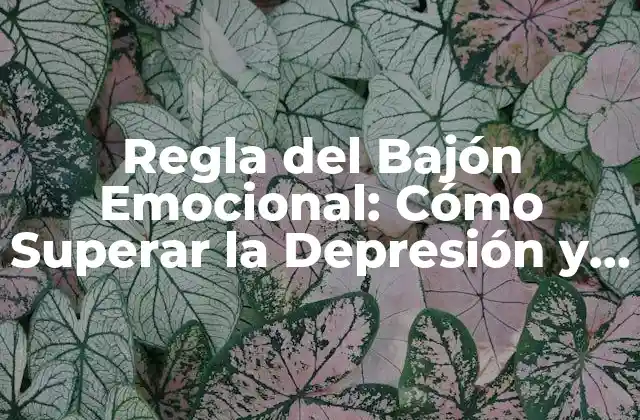 Regla Del Bajón Emocional: Cómo Superar la Depresión y Recuperar la Felicidad