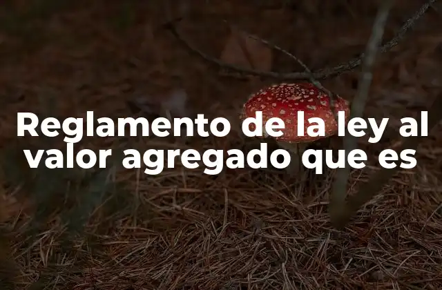 Reglamento de la Ley Al Valor Agregado que es