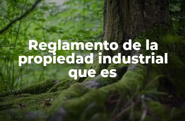 Reglamento de la Propiedad Industrial que es