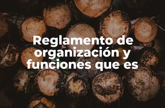 La importancia de tener un reglamento de organización bien estructurado