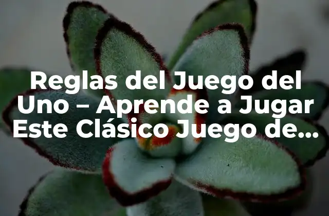 Reglas Del Juego Del Uno – Aprende a Jugar Este Clásico Juego de Cartas