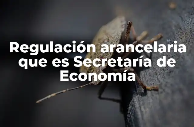 Regulación Arancelaria que es Secretaría de Economía