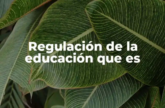 Regulación de la Educación que es