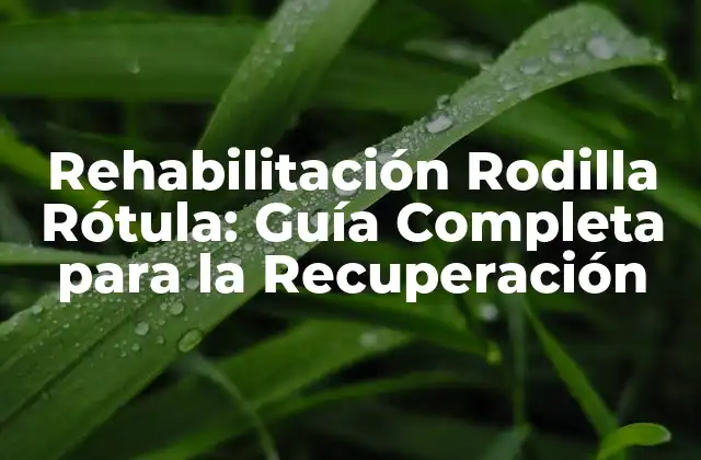 Rehabilitación Rodilla Rótula: Guía Completa para la Recuperación