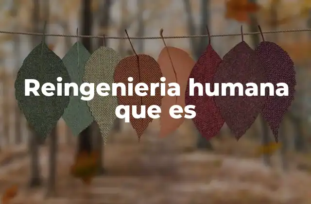 Reingenieria Humana que es