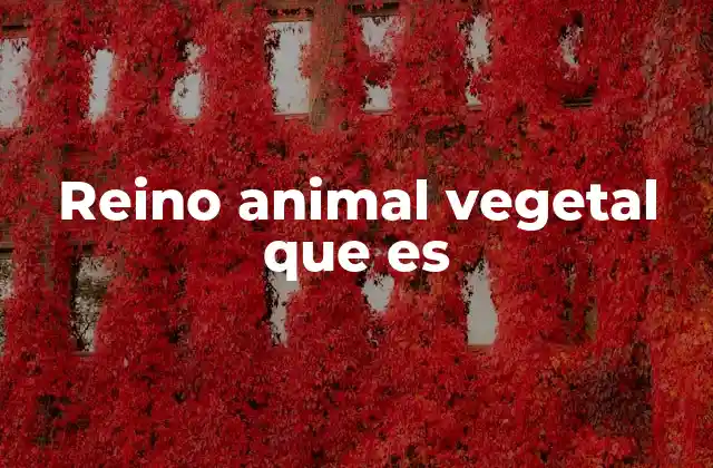 Reino Animal Vegetal que es