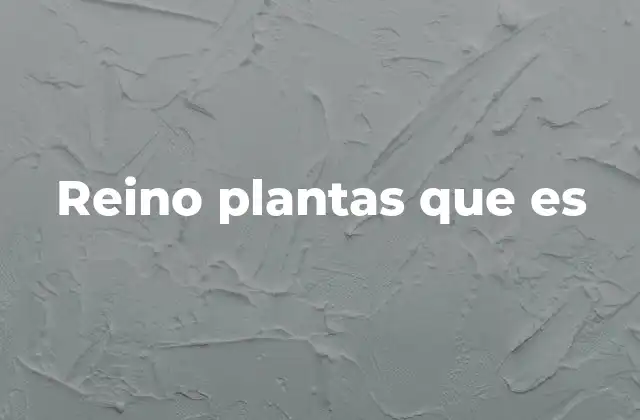 Reino Plantas que es