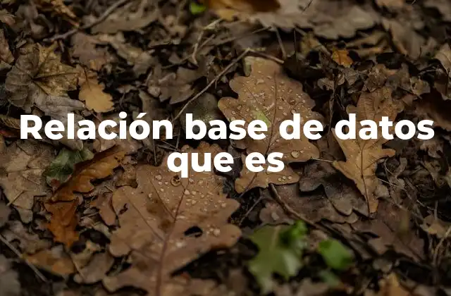 Relación Base de Datos que es