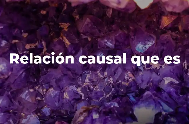 Relación Causal que es