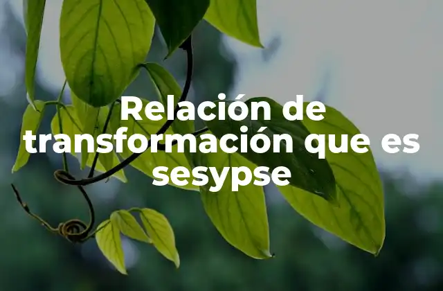 Relación de Transformación que es Sesypse