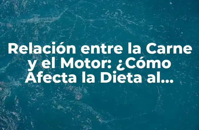 Relación entre la Carne y el Motor: ¿cómo Afecta la Dieta Al Rendimiento Deportivo?