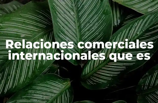 Relaciones Comerciales Internacionales que es