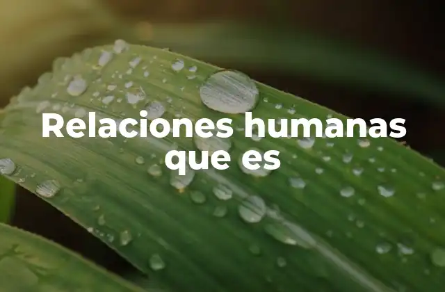 Relaciones Humanas que es 2 El papel de las relaciones en la formación social