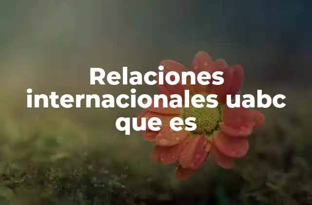 Relaciones Internacionales Uabc que es