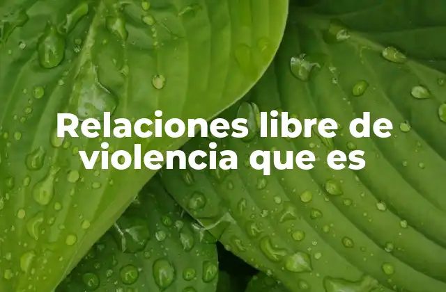 Relaciones Libre de Violencia que es