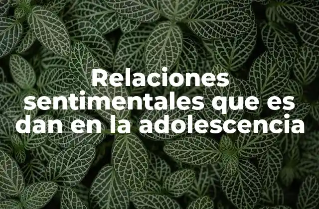 Relaciones Sentimentales que es Dan en la Adolescencia
