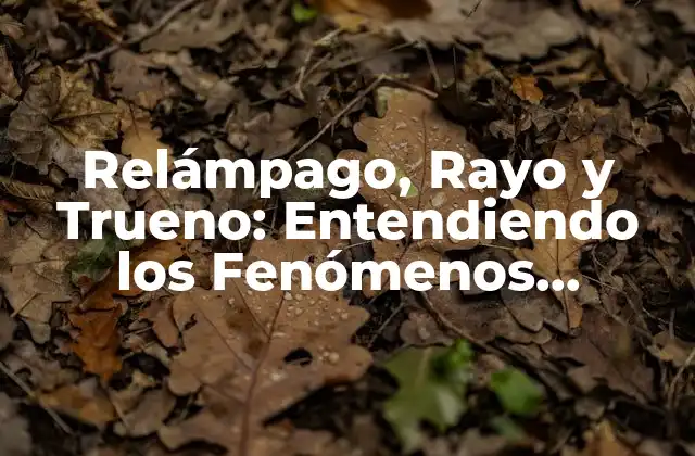 Relámpago, Rayo y Trueno: Entendiendo los Fenómenos Atmosféricos