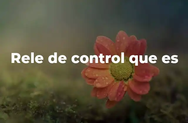 Rele de Control que es 2 Funcionamiento del rele de control