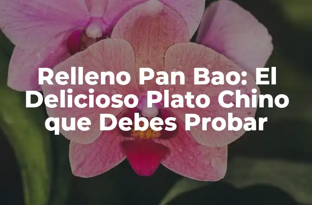 Orígenes y Evolución del Relleno Pan Bao