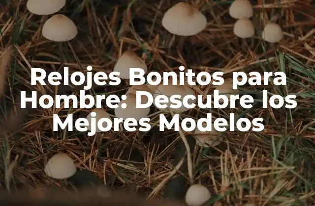 Relojes Bonitos para Hombre: Descubre los Mejores Modelos